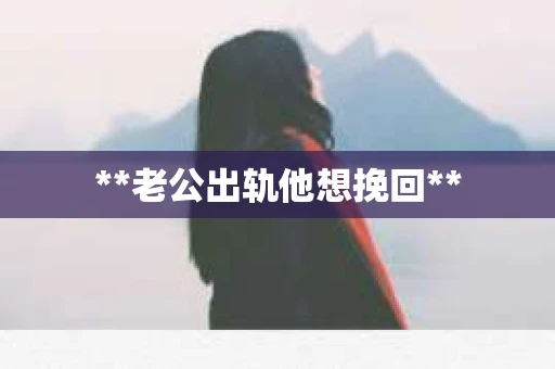 **老公出轨他想挽回**