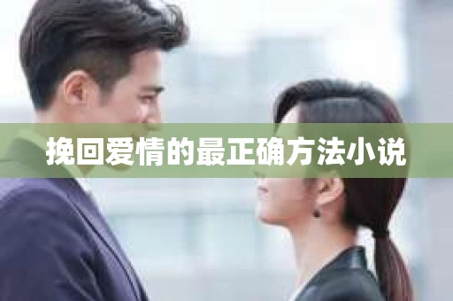 挽回爱情的最正确方法小说