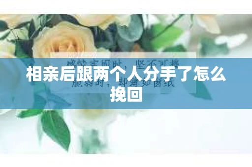 相亲后跟两个人分手了怎么挽回