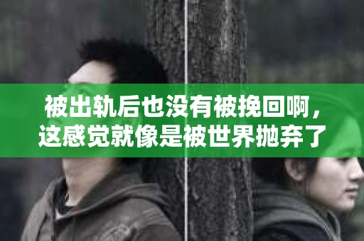 被出轨后也没有被挽回啊，这感觉就像是被世界抛弃了一样。我曾经也经历过这样的事情，那种心如刀割的痛，至今仍记忆犹新。今天，我想和大家聊聊这个话题，希望能给那些正在经历或者曾经经历过类似痛苦的人一些安慰和帮助。