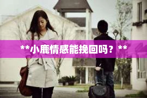 **小鹿情感能挽回吗？**