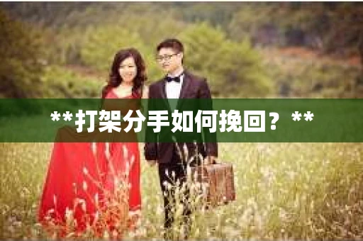 **打架分手如何挽回？**
