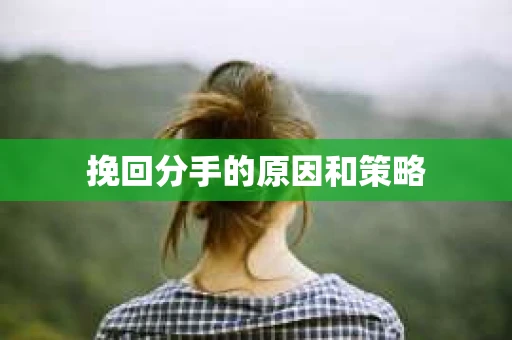 挽回分手的原因和策略