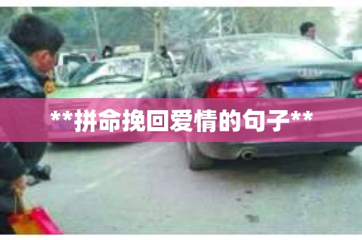 **拼命挽回爱情的句子**