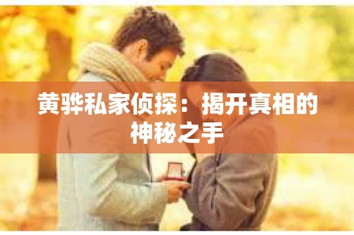 黄骅私家侦探：揭开真相的神秘之手