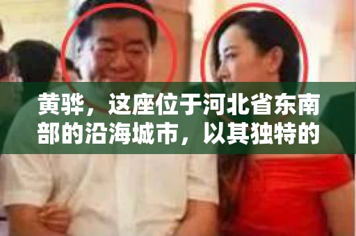 黄骅，这座位于河北省东南部的沿海城市，以其独特的地理位置和丰富的历史文化而闻名。然而，在这座城市中，还有一群人，他们以另一种方式默默守护着社会的公平与正义——私家侦探。今天，我们就来聊聊黄骅的私家侦探，看看他们是如何在这个城市中发挥作用的。