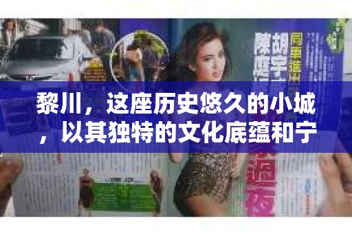黎川，这座历史悠久的小城，以其独特的文化底蕴和宁静的生活节奏吸引着无数游客。然而，在这样一个看似平静的城市里，你是否会好奇，有没有私家侦探机构的存在呢？今天，就让我带你一探究竟。