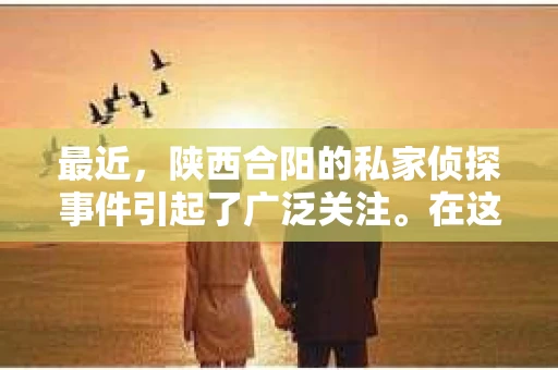 最近，陕西合阳的私家侦探事件引起了广泛关注。在这个信息爆炸的时代，隐私保护显得尤为重要。今天，我们就来聊聊这个事件，看看它背后的一些故事。