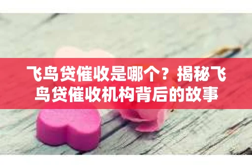 飞鸟贷催收是哪个？揭秘飞鸟贷催收机构背后的故事