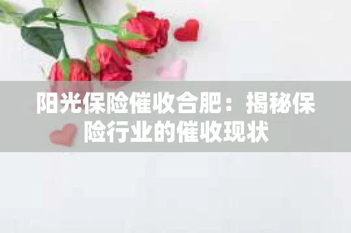 阳光保险催收合肥：揭秘保险行业的催收现状