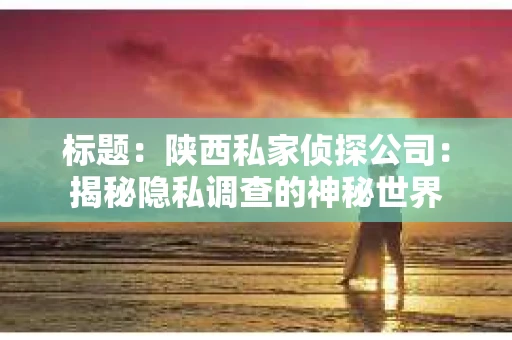 标题：陕西私家侦探公司：揭秘隐私调查的神秘世界