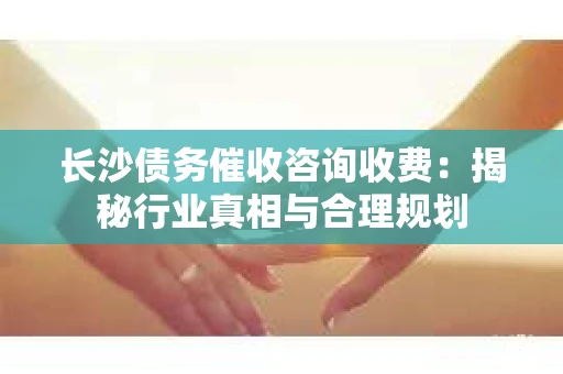 长沙债务催收咨询收费：揭秘行业真相与合理规划