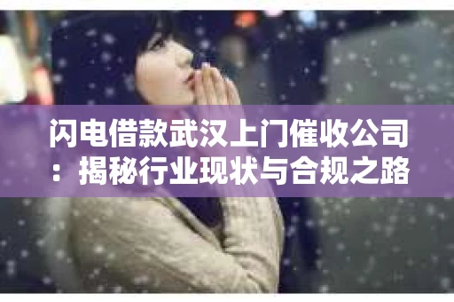 闪电借款武汉上门催收公司：揭秘行业现状与合规之路