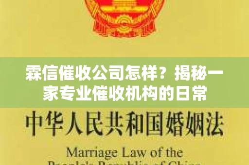 霖信催收公司怎样？揭秘一家专业催收机构的日常