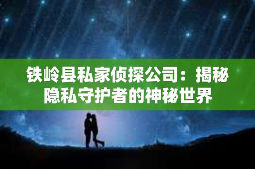 铁岭县私家侦探公司：揭秘隐私守护者的神秘世界