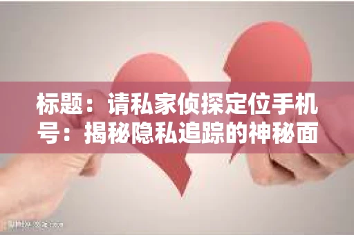 标题：请私家侦探定位手机号：揭秘隐私追踪的神秘面纱