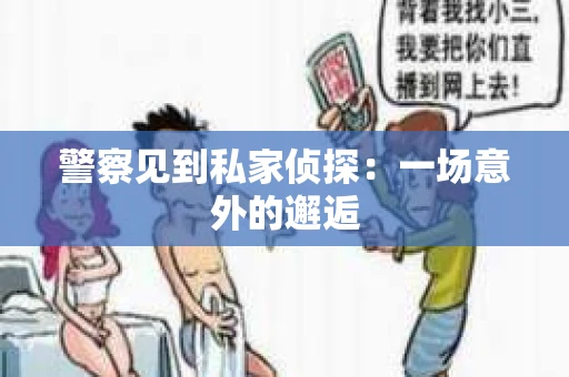 警察见到私家侦探：一场意外的邂逅