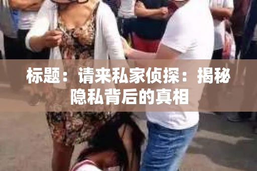标题：请来私家侦探：揭秘隐私背后的真相