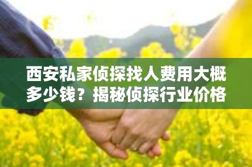 西安私家侦探找人费用大概多少钱？揭秘侦探行业价格之谜