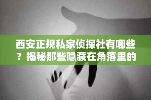 西安正规私家侦探社有哪些？揭秘那些隐藏在角落里的神秘力量