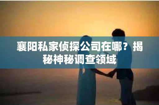 襄阳私家侦探公司在哪？揭秘神秘调查领域
