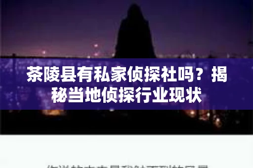 茶陵县有私家侦探社吗？揭秘当地侦探行业现状