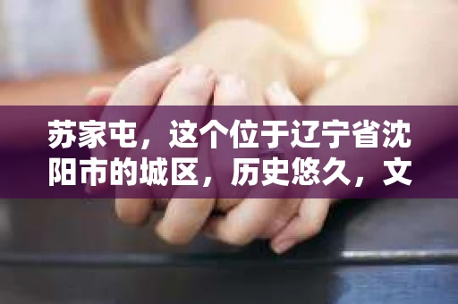 苏家屯，这个位于辽宁省沈阳市的城区，历史悠久，文化底蕴深厚。近年来，随着社会的发展，人们对于私家侦探的需求也逐渐增加。那么，苏家屯有私家侦探吗？今天，我们就来聊聊这个话题。