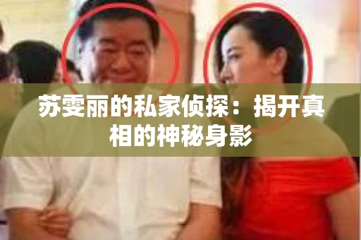 苏雯丽的私家侦探：揭开真相的神秘身影