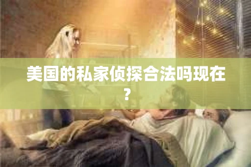 美国的私家侦探合法吗现在？