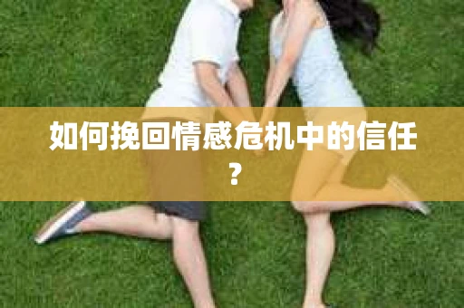 如何挽回情感危机中的信任？