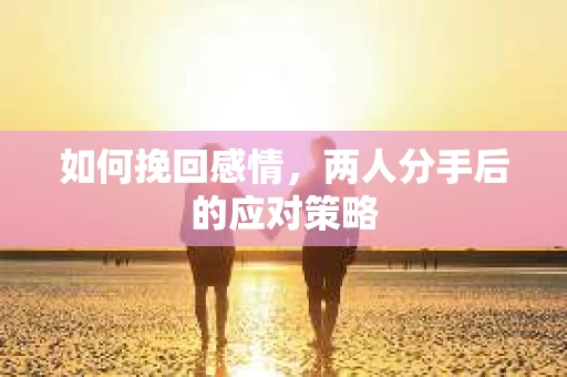 如何挽回感情，两人分手后的应对策略