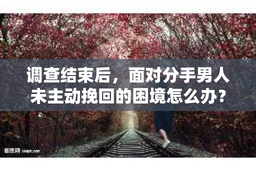 调查结束后，面对分手男人未主动挽回的困境怎么办？