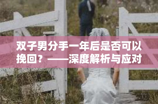 双子男分手一年后是否可以挽回？——深度解析与应对策略